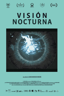 Visão Noturna - Poster / Capa / Cartaz - Oficial 1