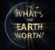Quanto Vale a Terra?