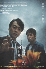 Ame ni Kieta Himawari (雨に消えた向日葵)