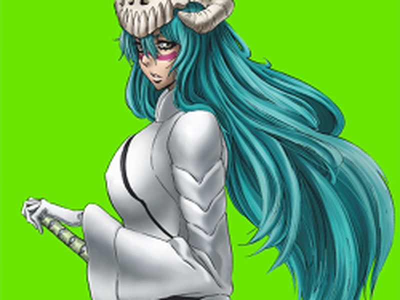 Foto 2 de Bleach (10ª Temporada)