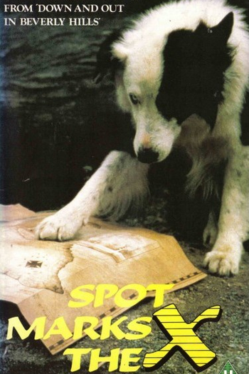  de Filme Onde Está o Tesouro? (1986)