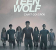 Teen Wolf (4ª Temporada)