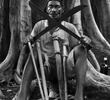 Papa Machete