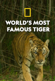 A Tigresa Mais Famosa do Mundo - Poster / Capa / Cartaz - Oficial 1