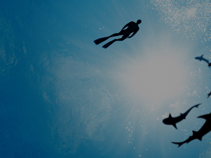 Foto 4 de Sharkwater Extinction