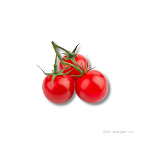 Foto de perfil de tomate cerejinha