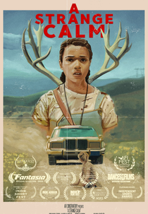 A Strange Calm (A Strange Calm)