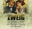 Lost Zweig - Os Últimos Dias de Stefan Zweig no Brasil 