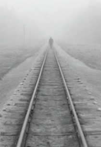 A Trip Across Misty Meadows (Kelionė ūkų lankomis)