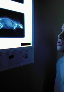 Small Emergencies (Small Emergencies)