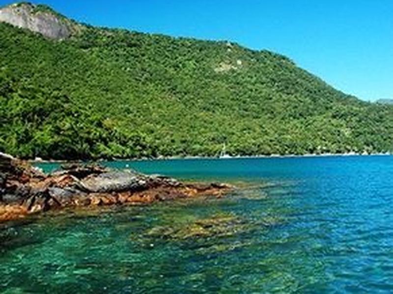 Foto 2 de Ilhados 2021