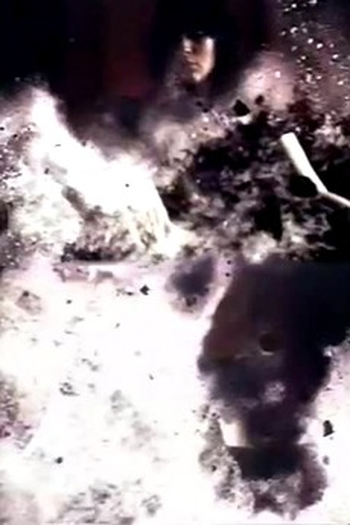 Poster de Curta The Cat Lady (1969)