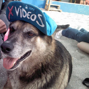 Foto de perfil de gfffjgkggfg