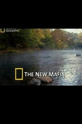 Poster de TV A Nova Máfia (2011)