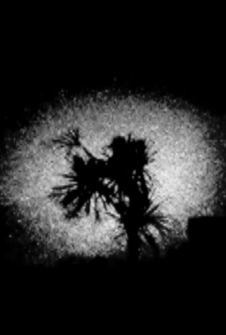 Poster 1 de Curta Taupiri (2007)