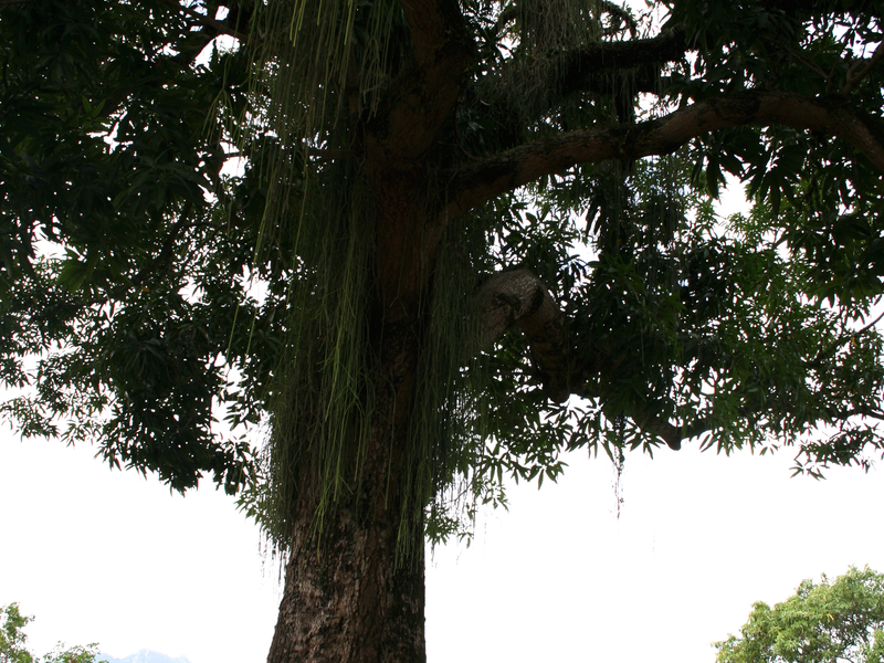 Foto 3 de O Último Acorde