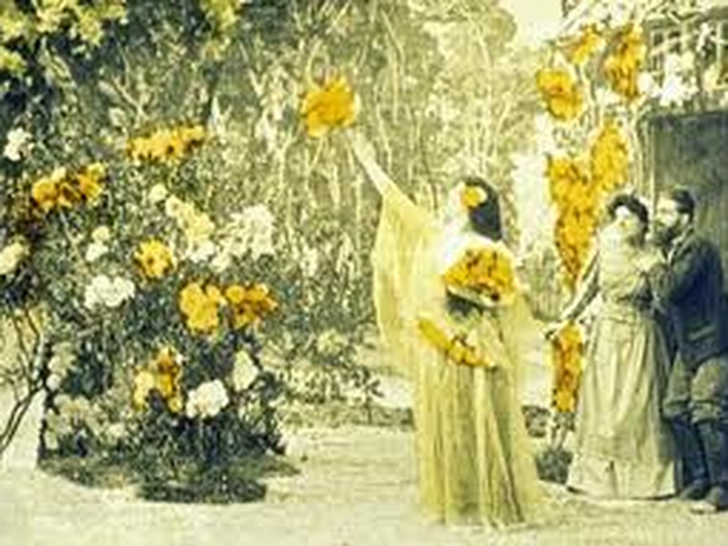 Foto 2 de A Fada Primavera