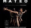 Mateo