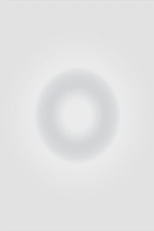 The Taj Mahal (The Taj Mahal)