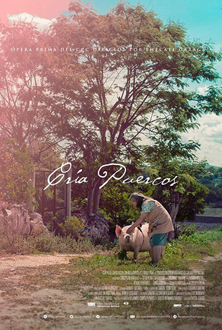 Poster 2 de Filme Cría puercos (2018)