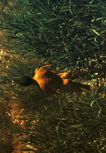 The Watchmen (The Watchmen)