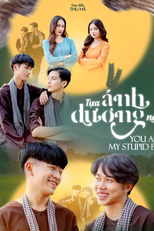 You Are My Stupid Boy (Tựa Ánh Dương Ngời)