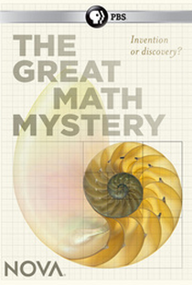 The Great Math Mystery - Poster / Capa / Cartaz - Oficial 1