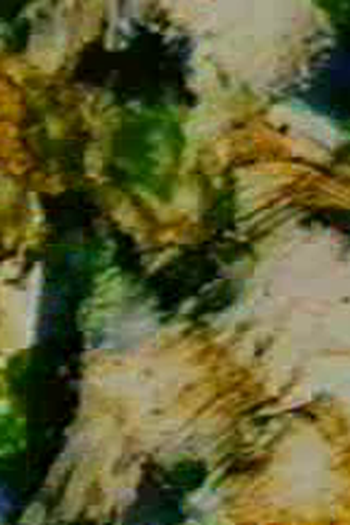 Poster de Curta Prelude 7 (1996)