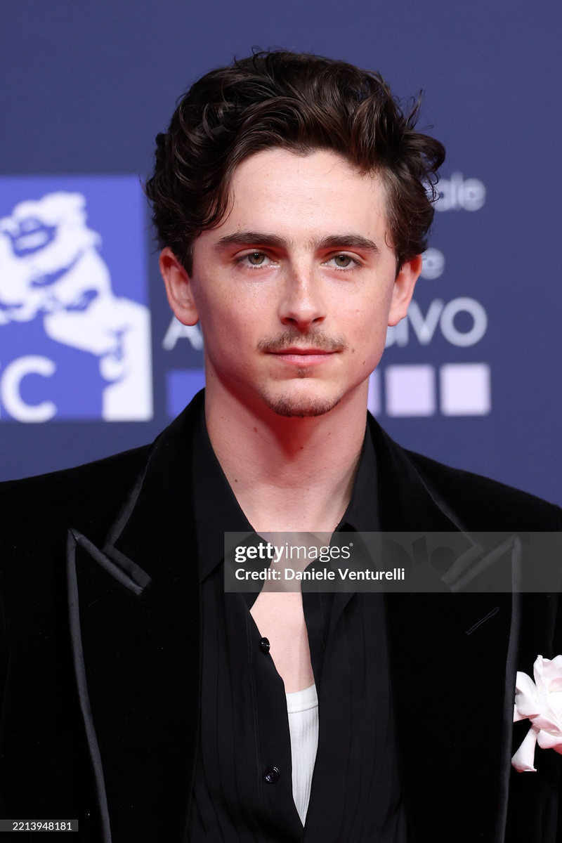 Timothée Chalamet - Foto 19