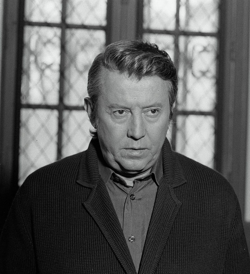 Michel Auclair - Foto 1