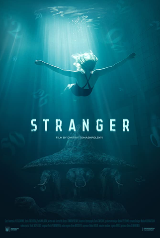 Poster 1 de Filme Stranger (2019)