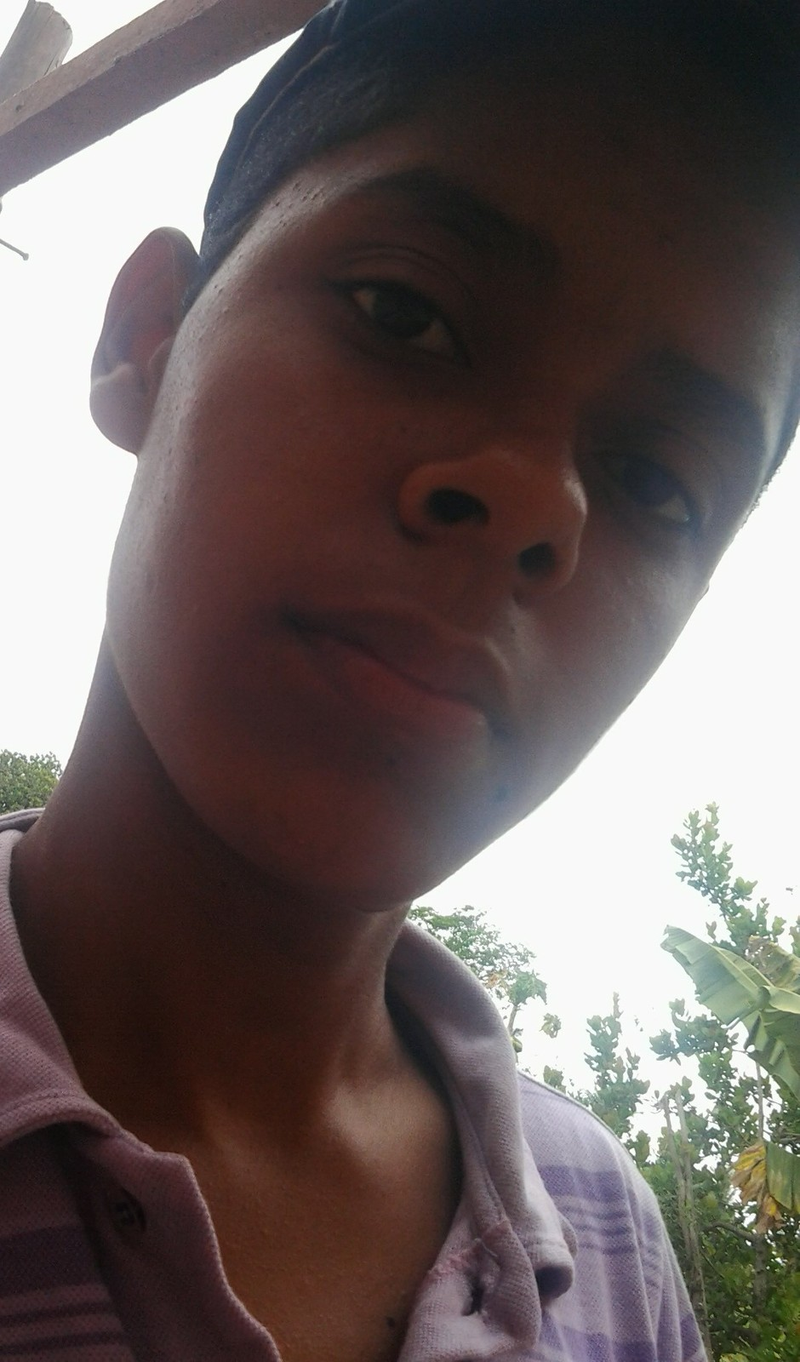 Werlisson Souza - Foto 1