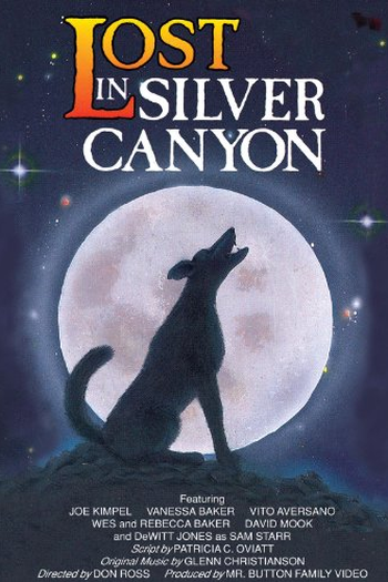 Poster de Filme Perdidos em Silver Canyon (1990)