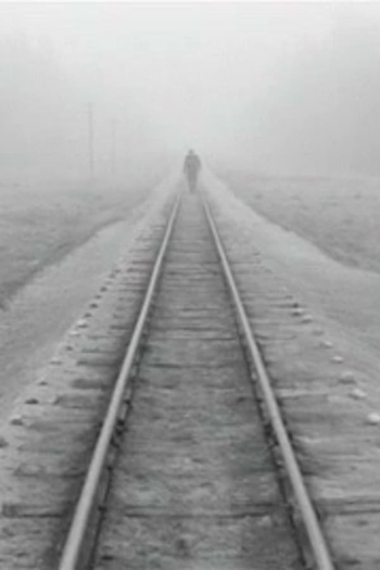 Poster de Curta A Trip Across Misty Meadows (1973)
