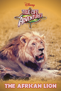 O Leão Africano - Poster / Capa / Cartaz - Oficial 3