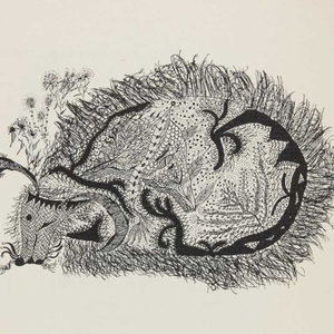 Foto de perfil de Stella