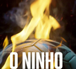 O Ninho: Futebol e Tragédia
