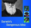 Darwin's Dangerous Idea
