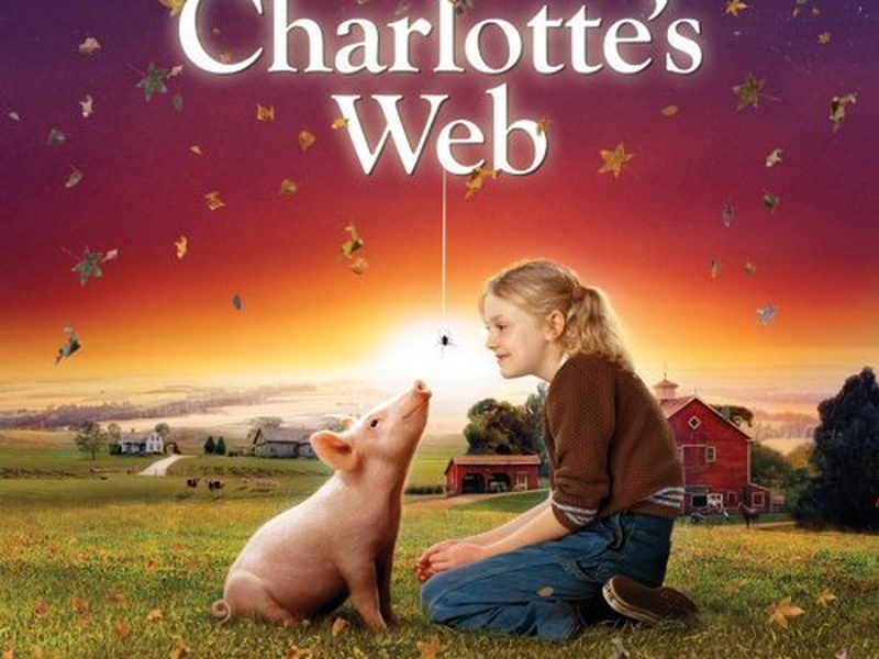 Foto 1 de A Menina e o Porquinho