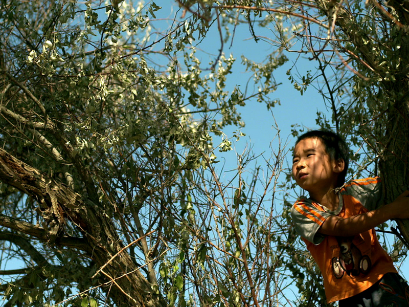 Foto 1 de Fly with the Crane