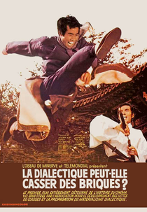 Pode a Dialética Quebrar Tijolos? (La dialectique peut-elle casser des briques?)