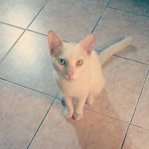 Foto de perfil de Aldyane