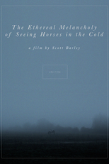 The Ethereal Melancholy of Seeing Horses in the Cold (The Ethereal Melancholy of Seeing Horses in the Cold)