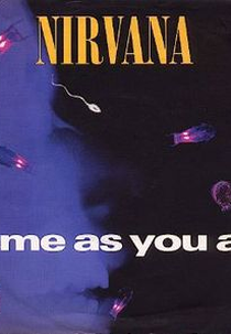 Nirvana: Come As You Are (Nirvana: Come As You Are)
