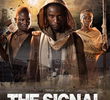 The Signal