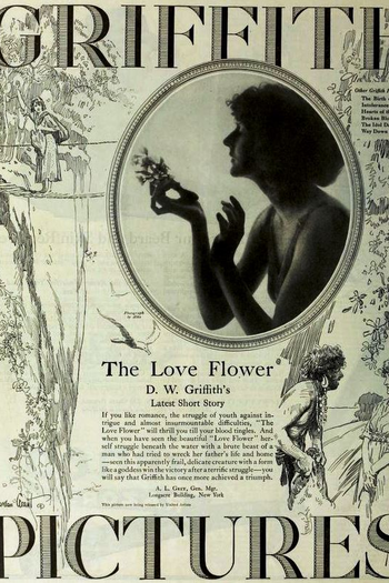  de Filme Flor de Amor (1920)