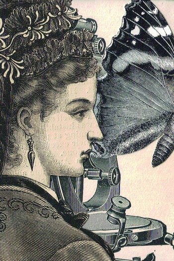 Poster de Curta Beyond Enchantment (2010)