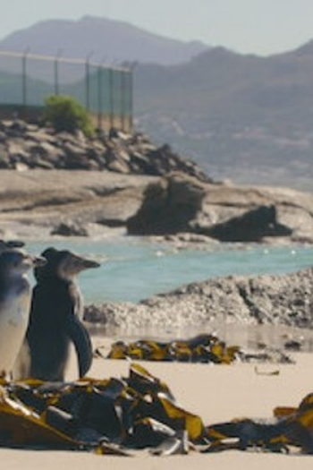 Poster de Episódio Learning to Fly (2021)