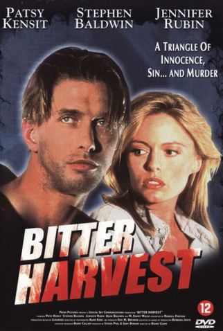 Poster 1 de Filme Três Desejos (1993)