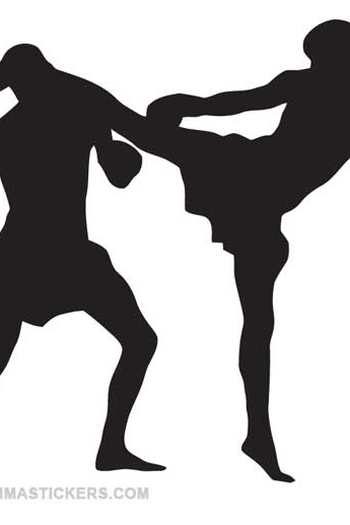 Poster de Filme Combate em Dose Dupla (1994)